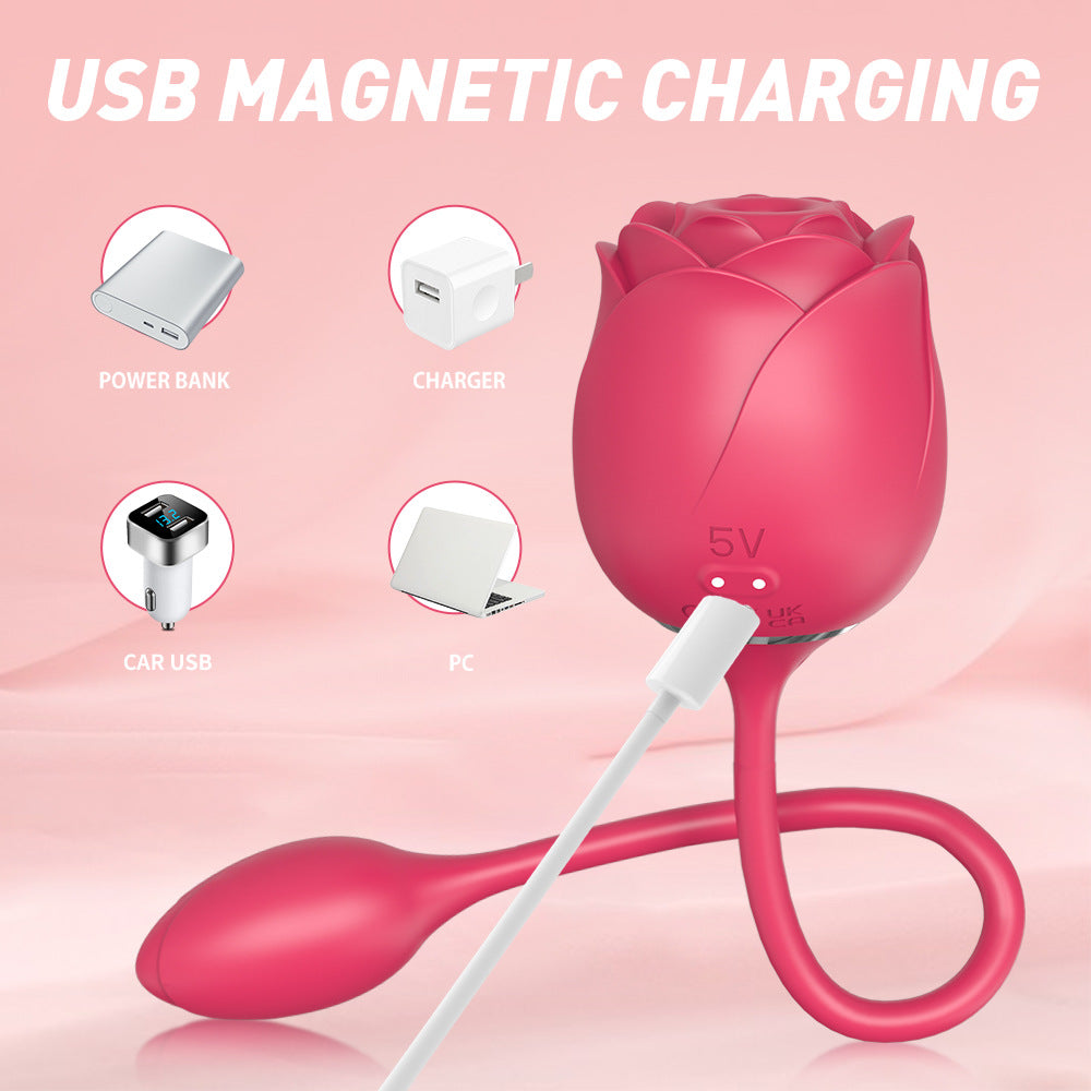 Suction Dual Vibrating Egg Female Masturbation Vibrator Breast Teasing Vibrating Egg